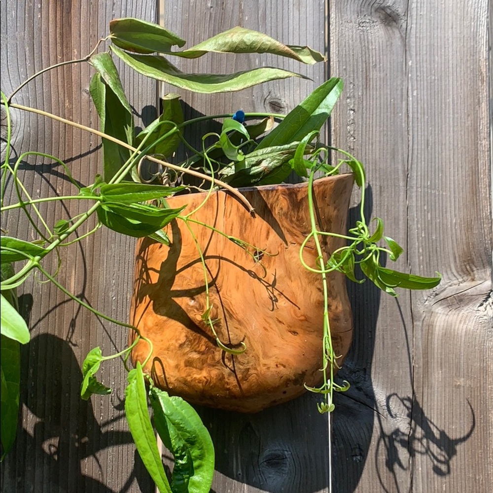 Hanging Wood flower pots, indoor/outdoor